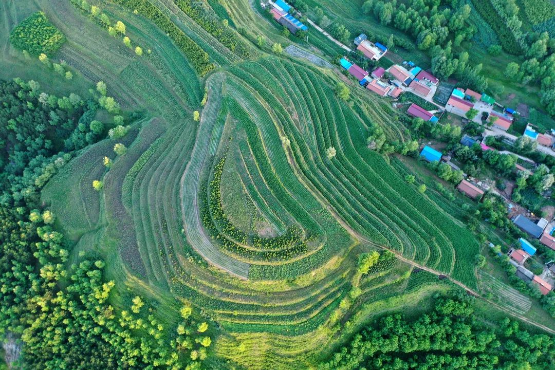 生態(tài)系統(tǒng)健康和管理——加強生態(tài)技術(shù)和工程管理，促進生態(tài)系統(tǒng)健康發(fā)展
